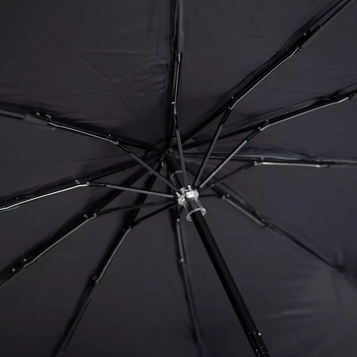 Chlorophylle Umbrella