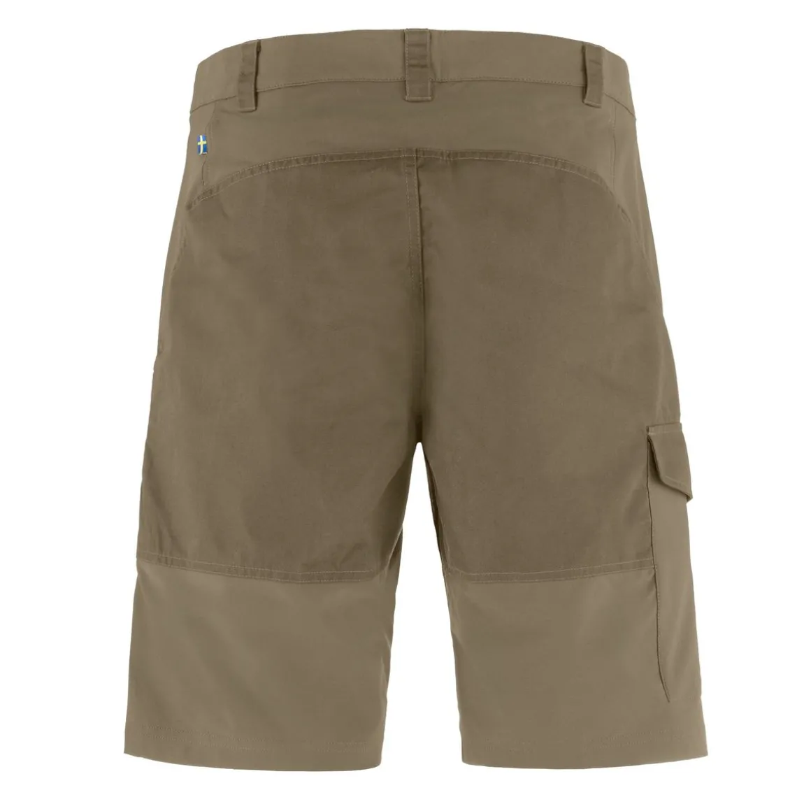 Men's Abisko Shorts