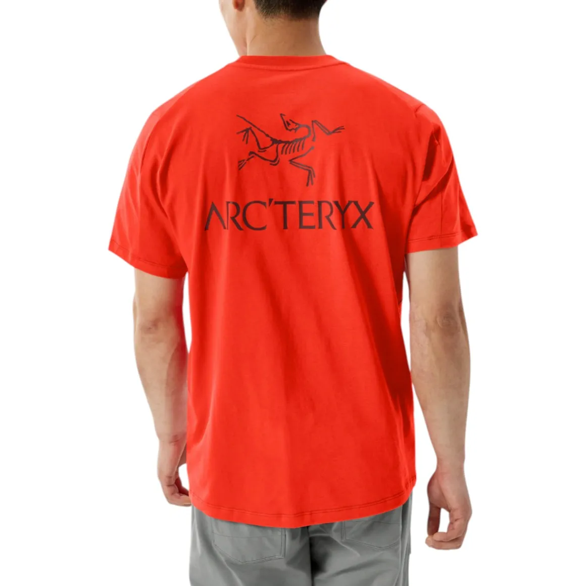 Men's Kragg SL Bird Word T-Shirt