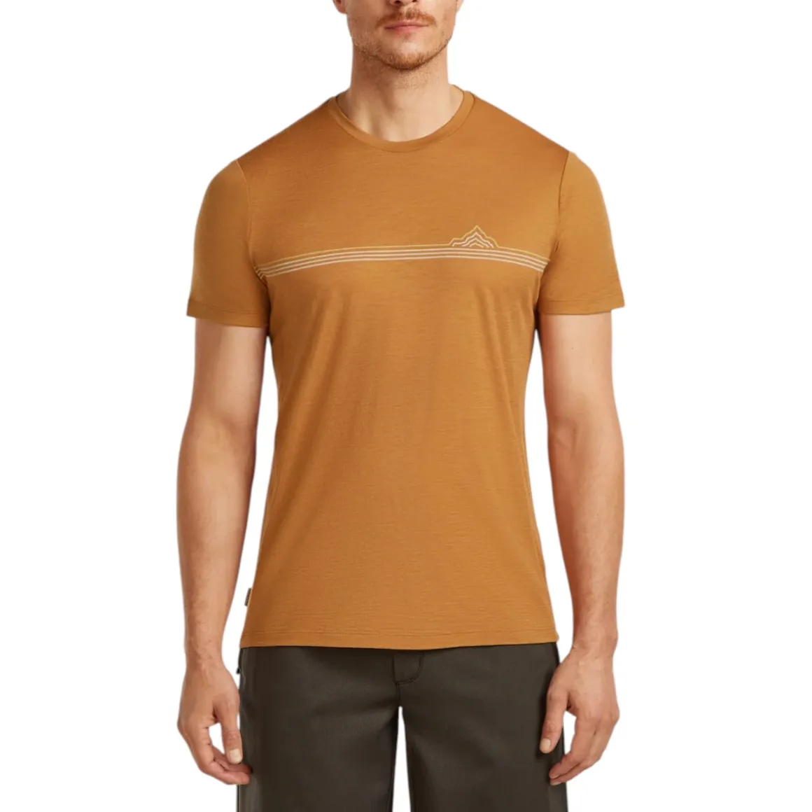 Men's Merino 150 Tech Lite Short Sleeve Tee Range Stripes
