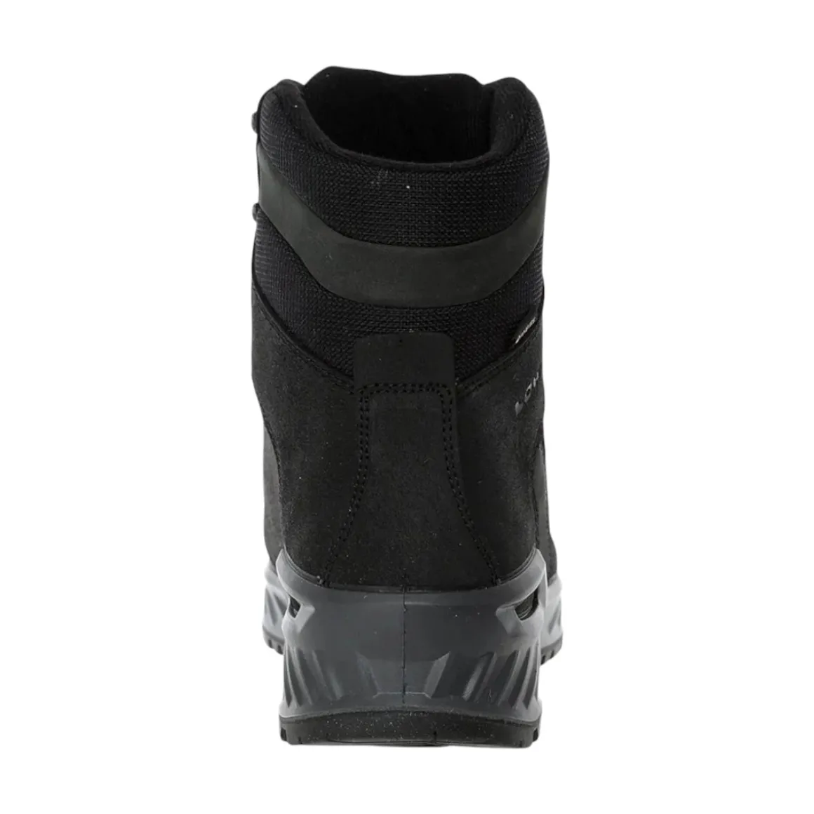 Men's Nabucco EVO GTX Boots