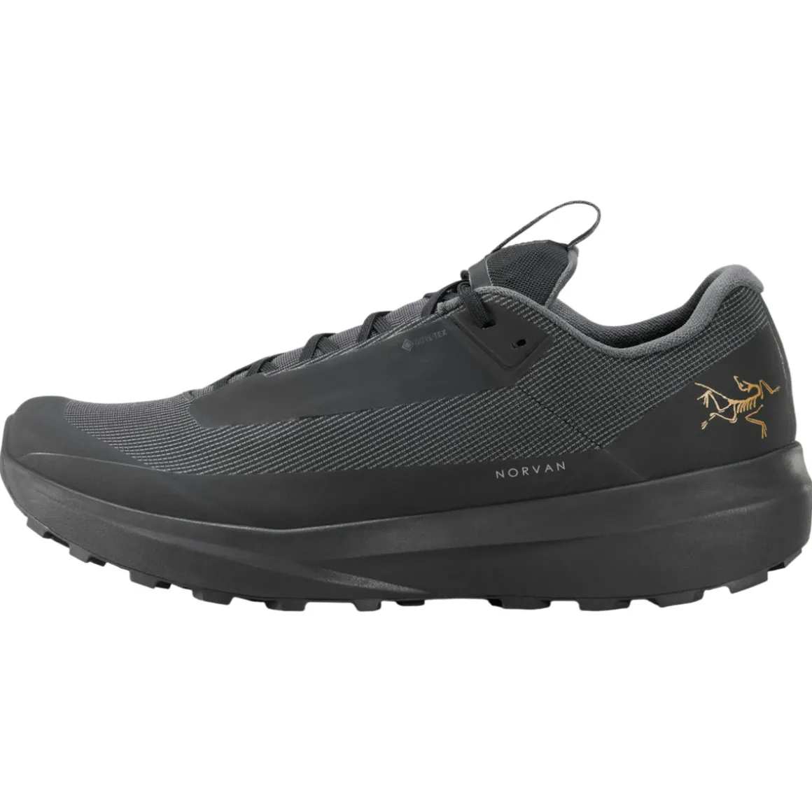 Men's Norvan LD 4 GTX Shoes