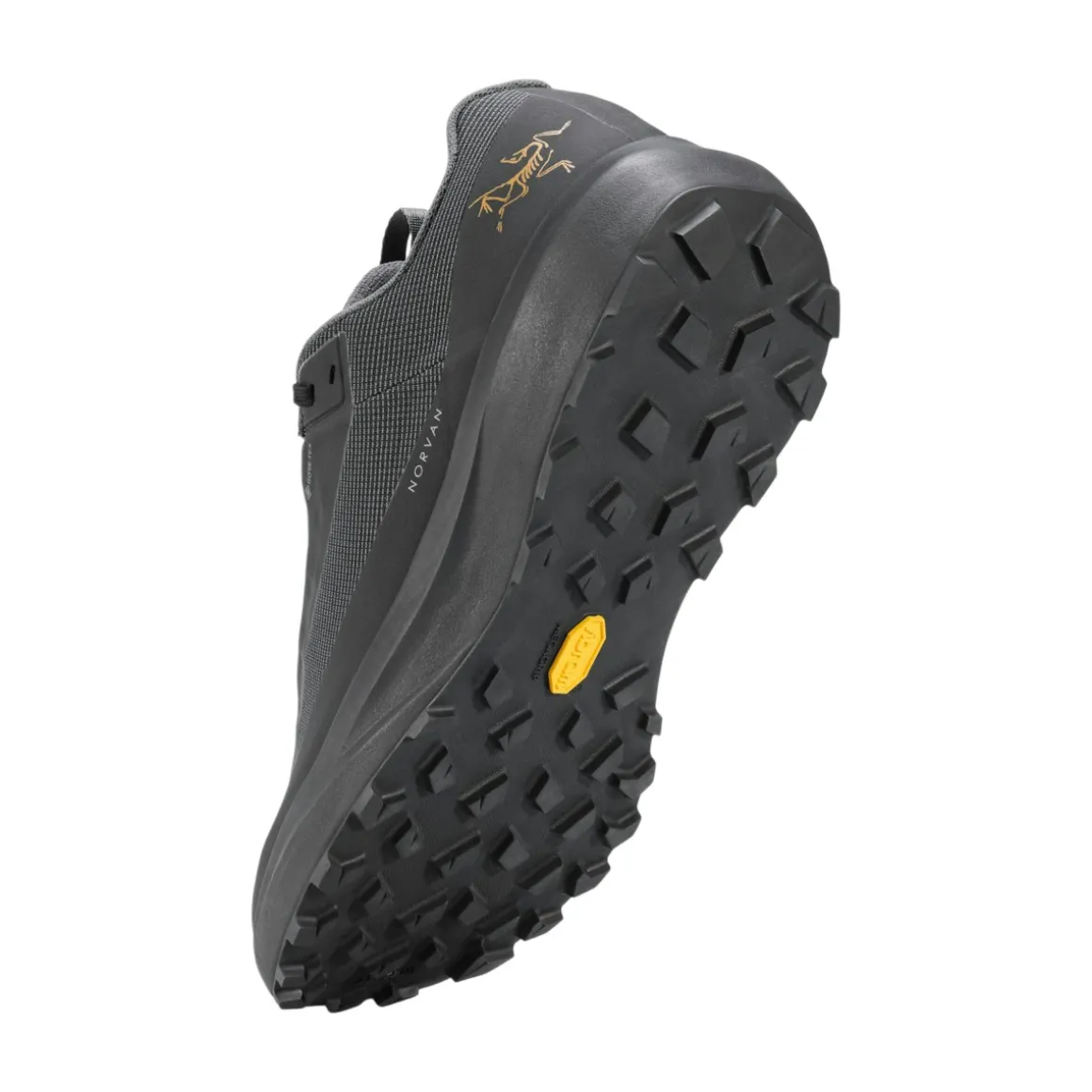 Men's Norvan LD 4 GTX Shoes