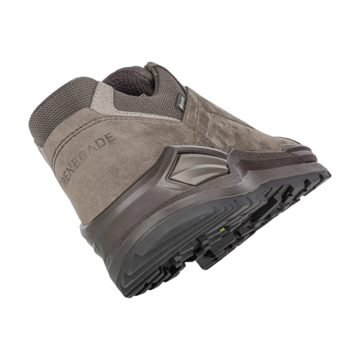 Men's Renegade Evo GTX Lo Shoes