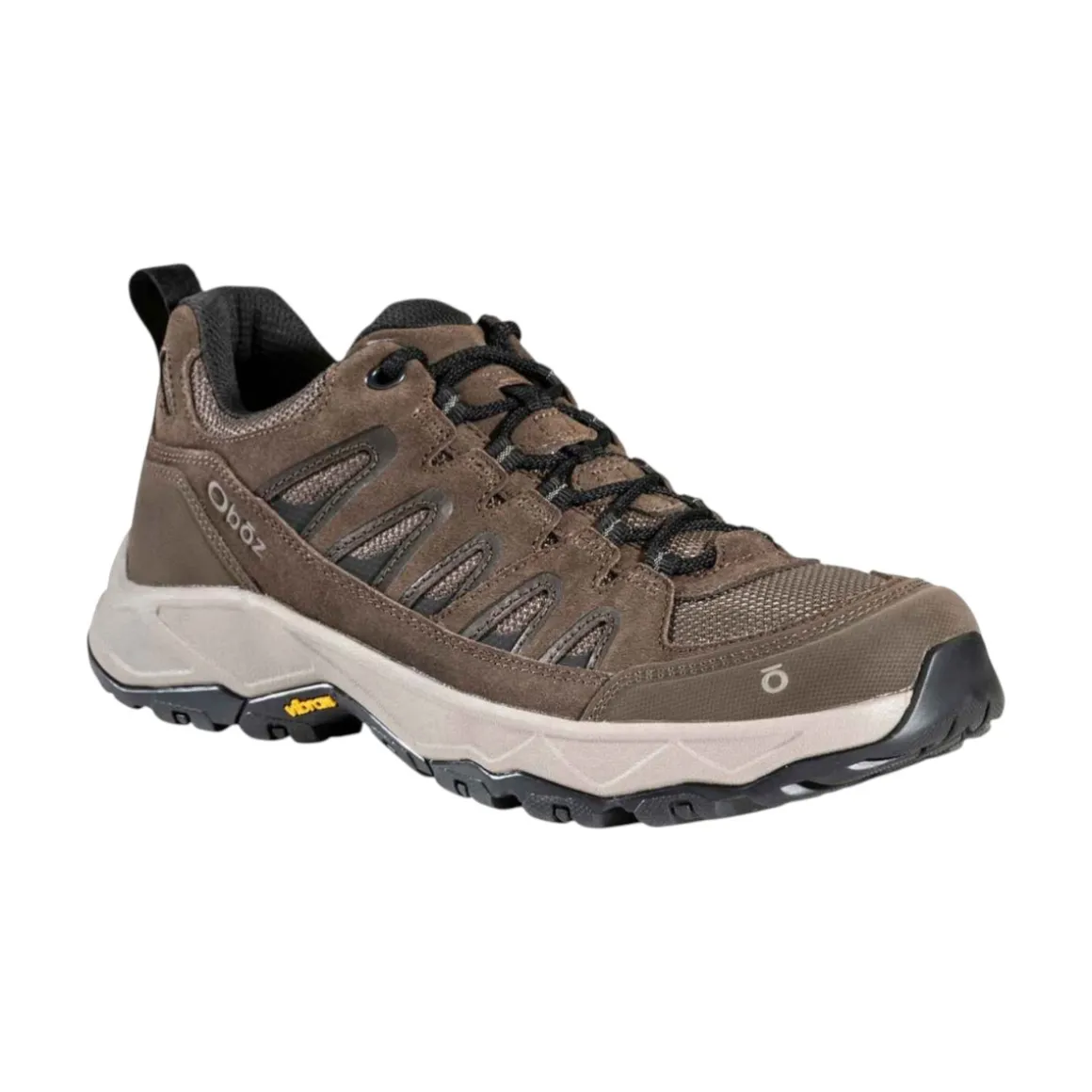 Men's Sawtooth Ascent Low Hiking Shoes