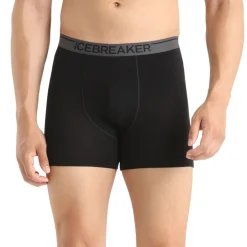 Icebreaker Boxers And Panties|Socks<Men's Anatomica Boxer