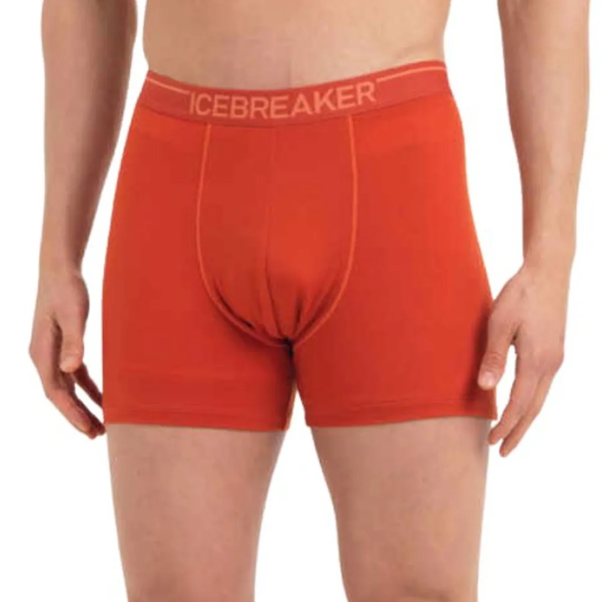 Icebreaker Boxers And Panties|Socks<Men's Anatomica Boxer