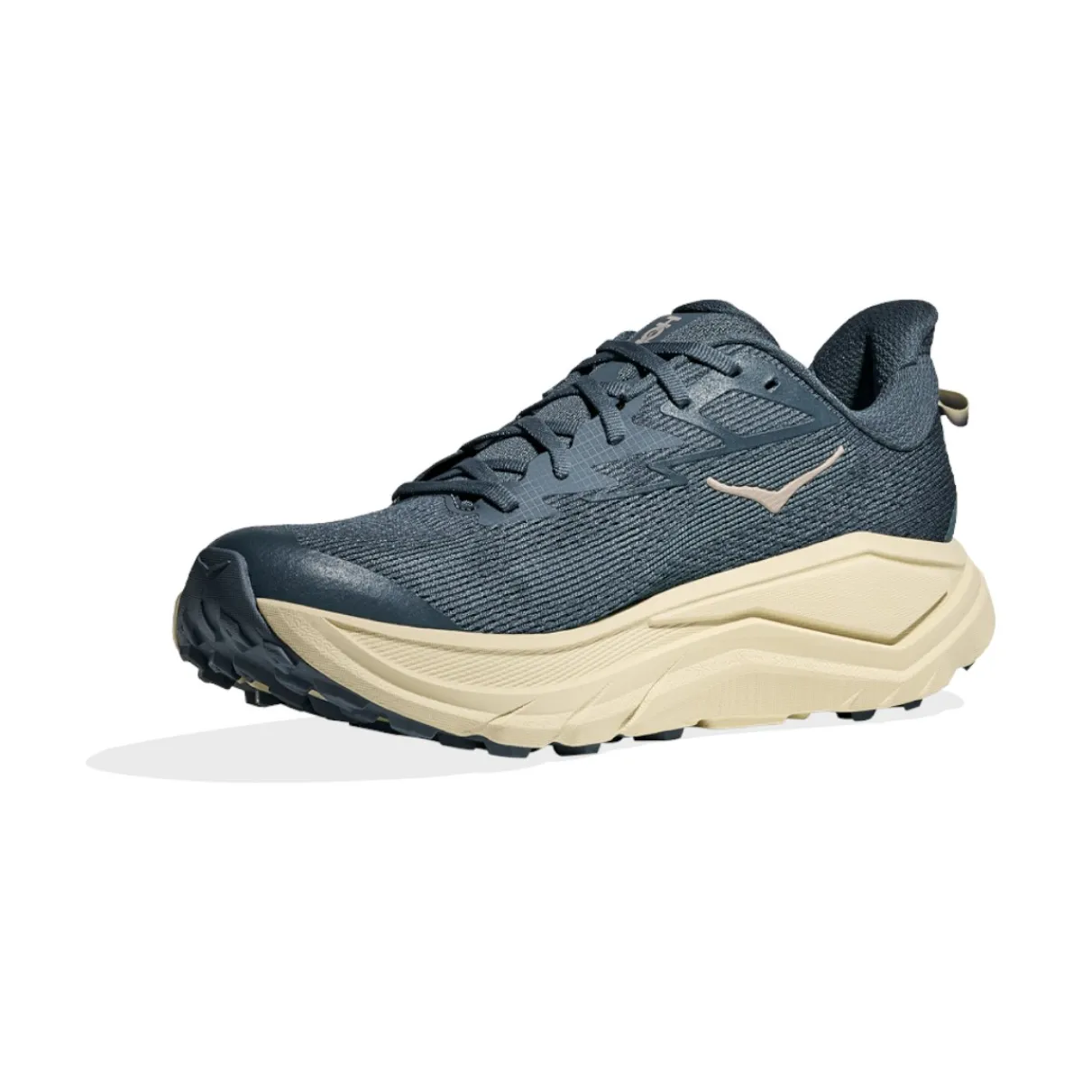 Hoka Casual Shoes|Sandals And Mules<Men's Challenger 8 Shoes Faded Navy / Pampass Grass
