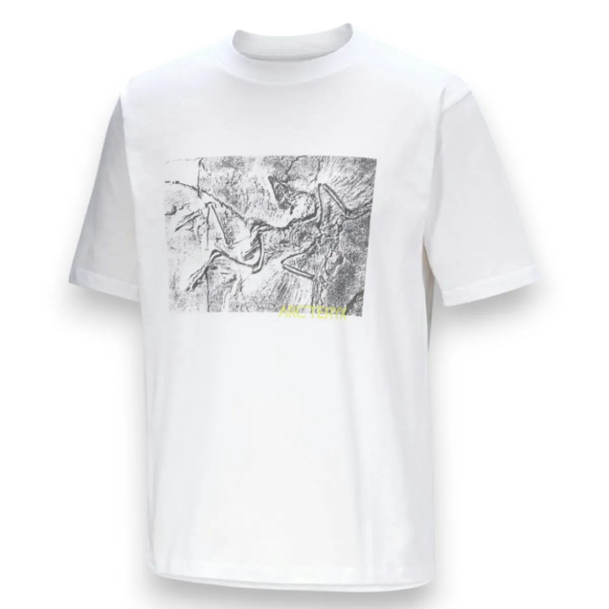 Arc'teryx Shirts|Swimwear<Men's Kragg Cotton Lithographica T-Shirt