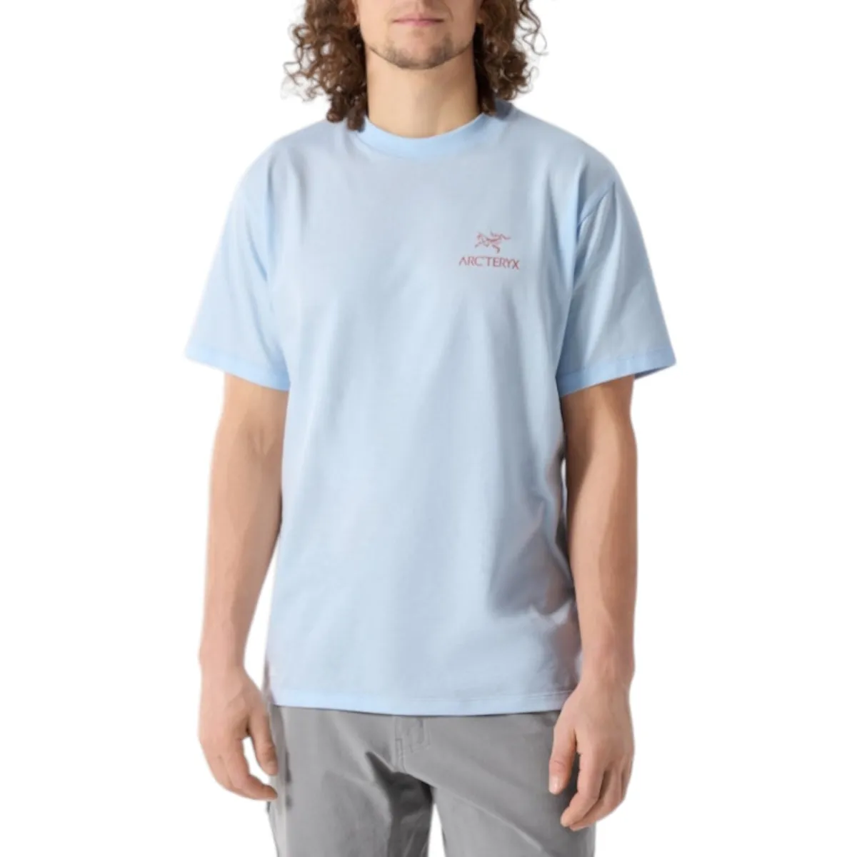 Arc'teryx Shirts|Swimwear<Men's Kragg SL Bird Word T-Shirt