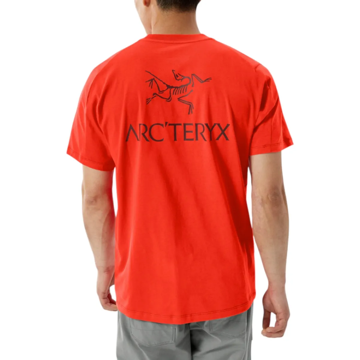 Arc'teryx Shirts|Swimwear<Men's Kragg SL Bird Word T-Shirt