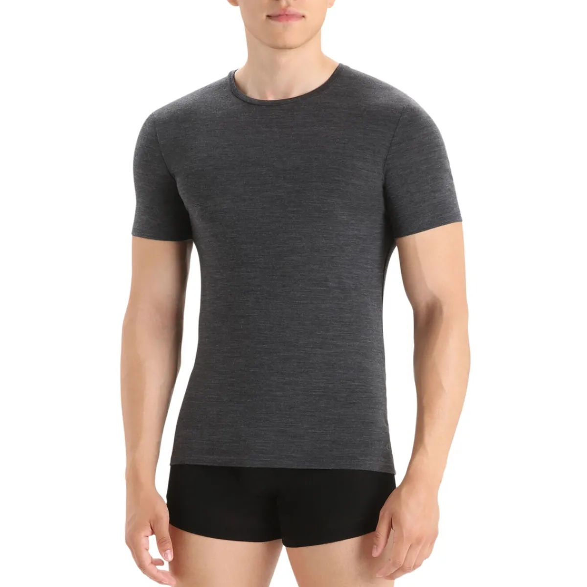 Icebreaker Boxers And Panties|Socks<Men's Merino Anatomica Short Sleeve T-Shirt