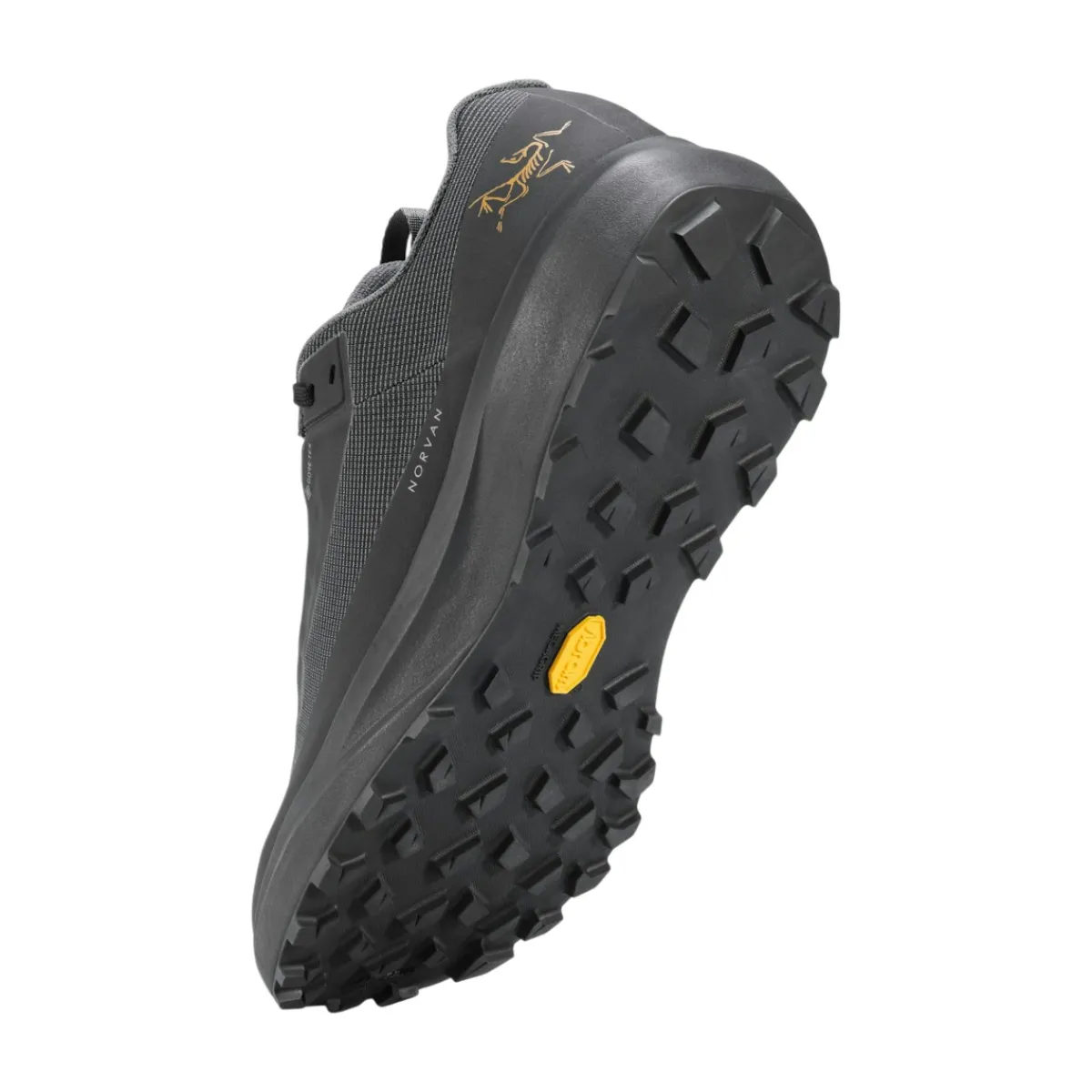 Arc'teryx Casual Shoes|Sandals And Mules<Men's Norvan LD 4 GTX Shoes Black