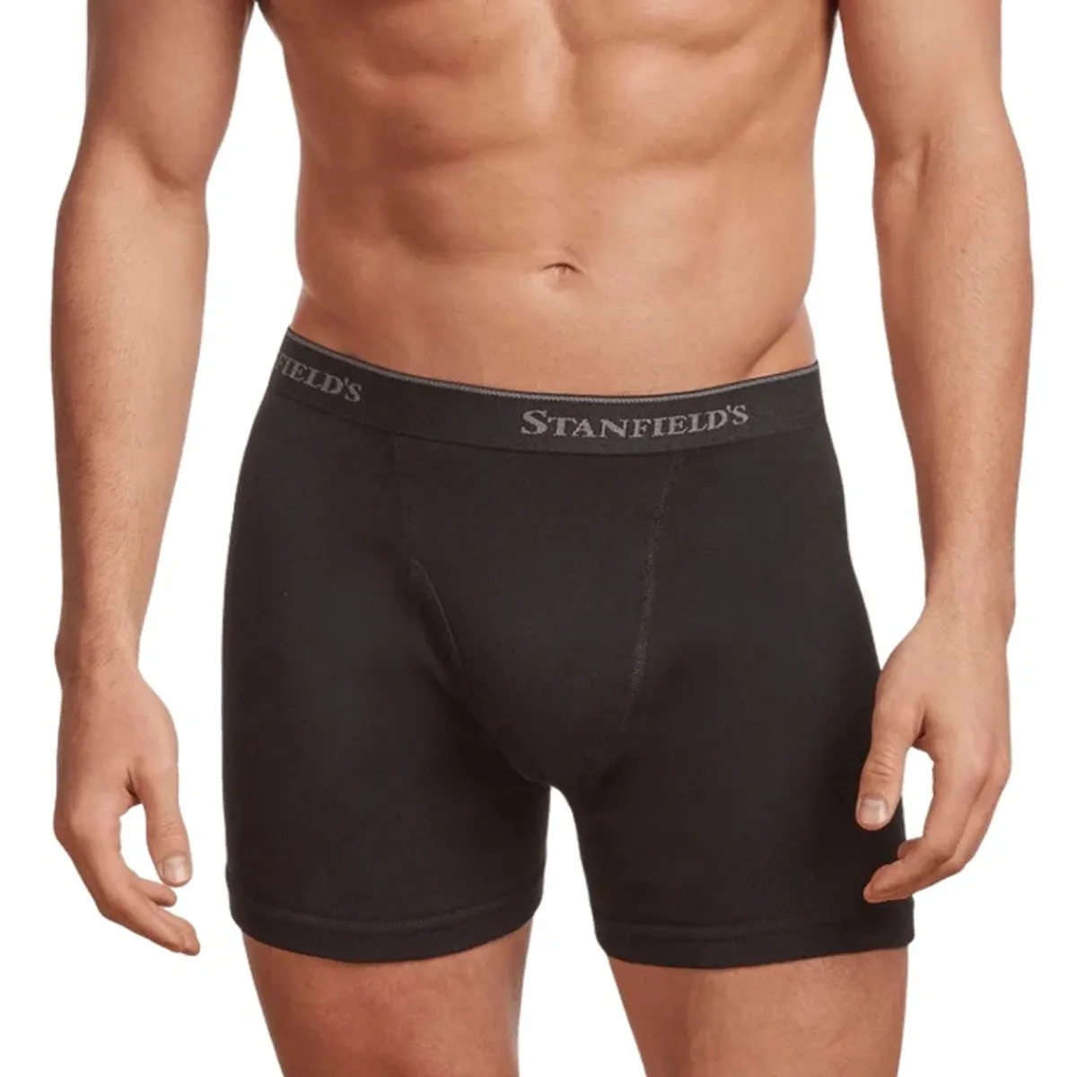 Stanfield's Boxers And Panties|Socks<Men's Premium Cotton Boxer Brief - Pack of 2