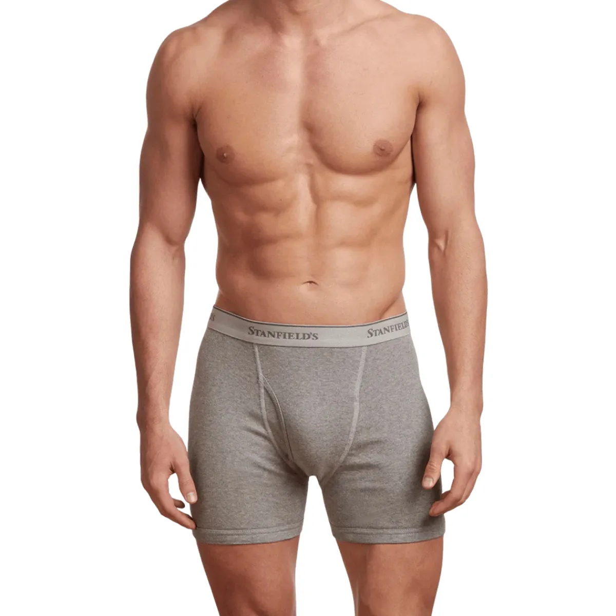 Stanfield's Boxers And Panties|Socks<Men's Premium Cotton Boxer Brief - Pack of 2