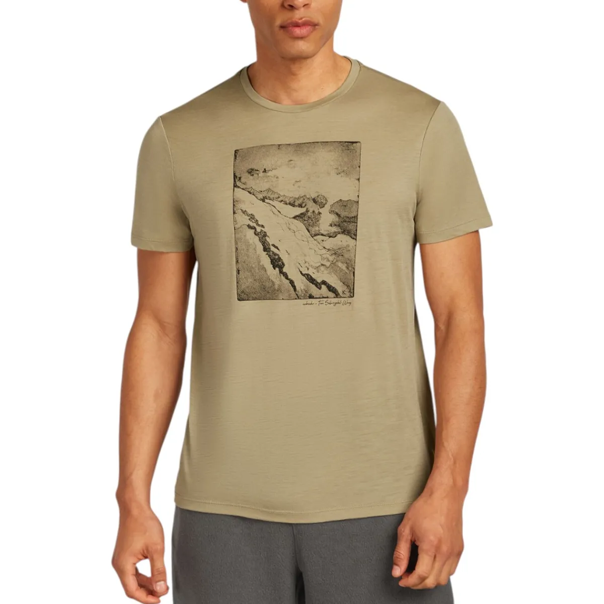 Icebreaker Shirts|Swimwear<Men's Summit Merino 150 Tech Lite T-Shirt Flagstone