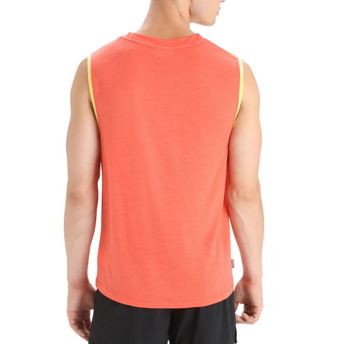 Icebreaker Shirts|Swimwear<Men's ZoneKnit Merino Geodetic Tank Summer