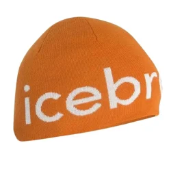 Icebreaker Belts|Hats And Caps<Unisex Merino Beanie
