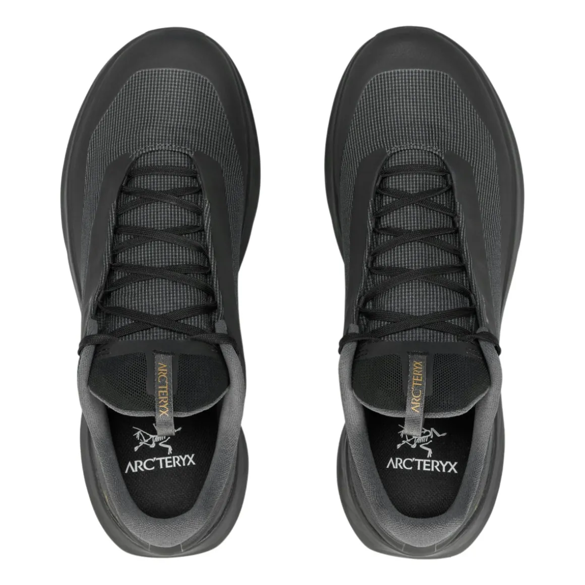 Women's Norvan LD 4 GTX Shoes