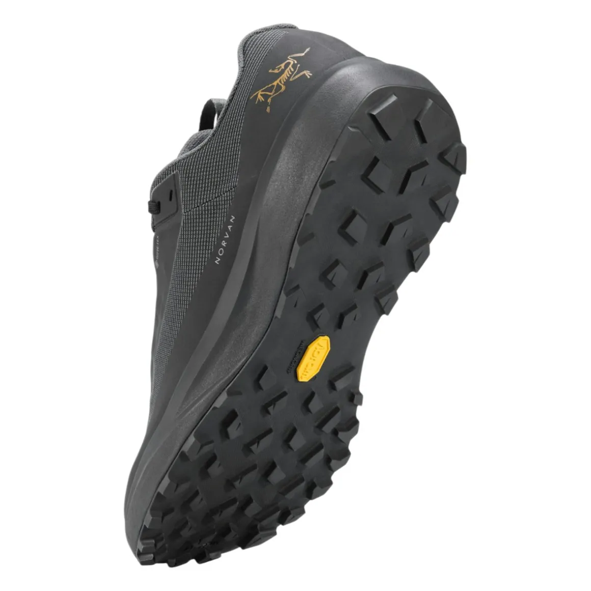 Women's Norvan LD 4 GTX Shoes