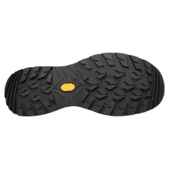 Women's Renegade Evo GTX LO Shoes