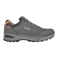 Women's Renegade Evo GTX Lo Shoes
