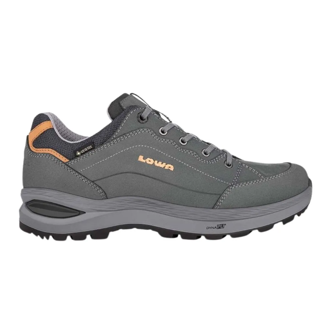 Women's Renegade Evo GTX Lo Shoes