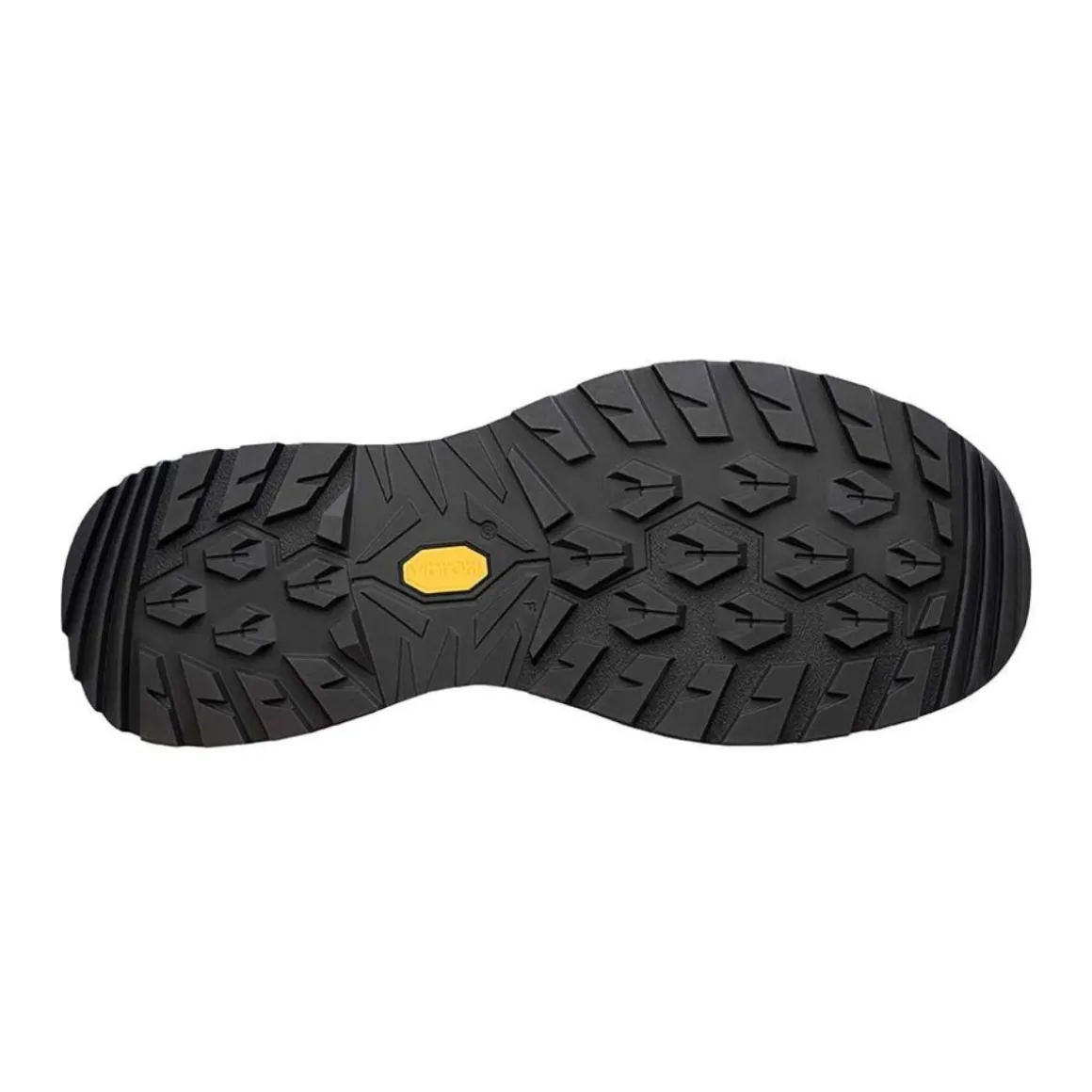 Women's Renegade Evo GTX Lo Shoes