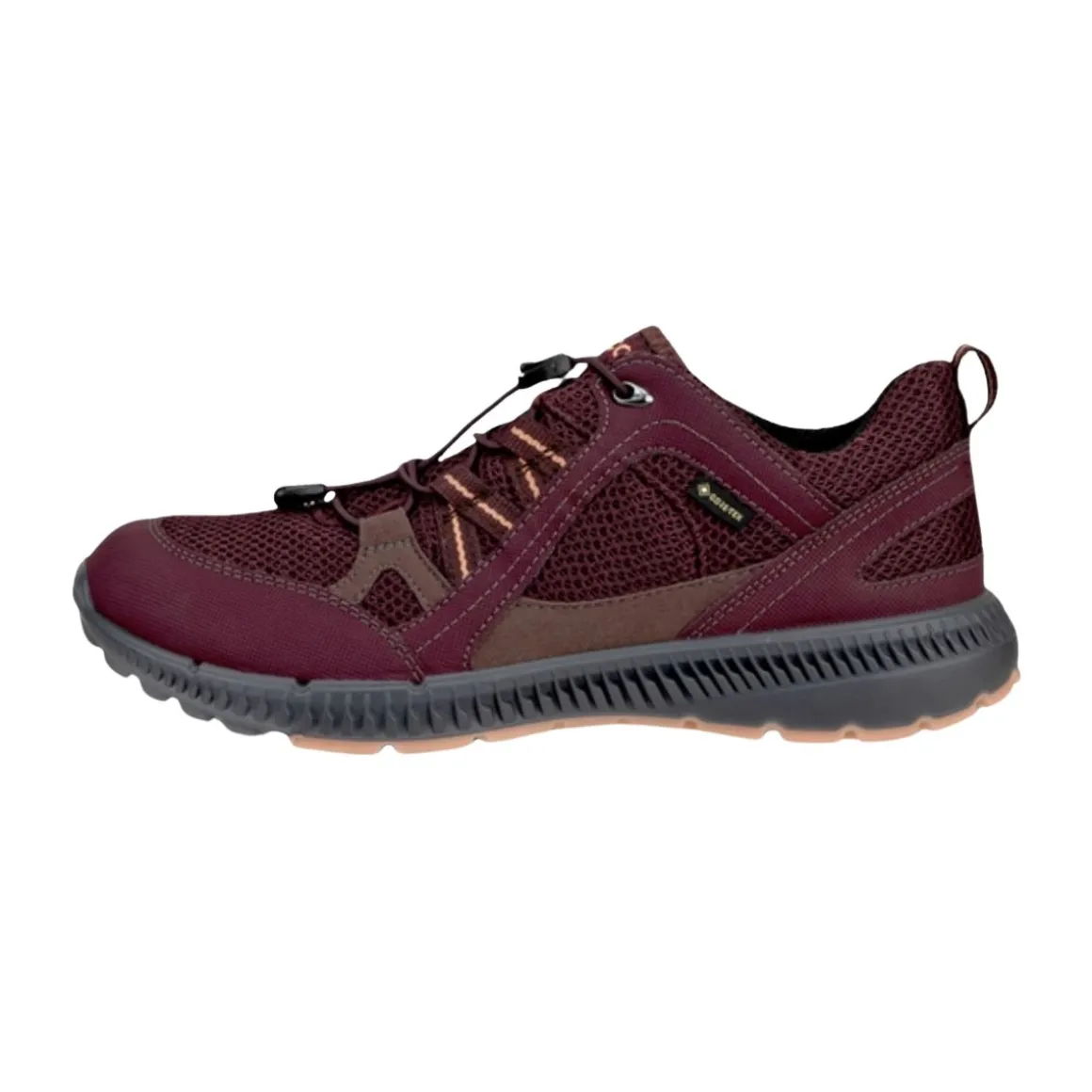Women's Terracruise II Shoes