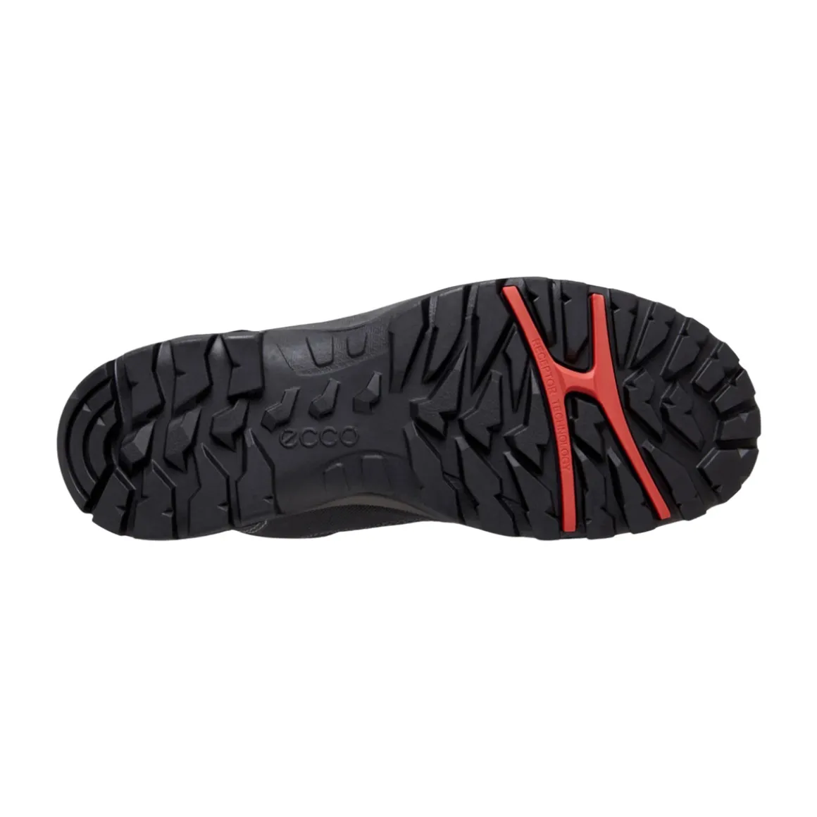 Women's Xpedition III GTX Boots