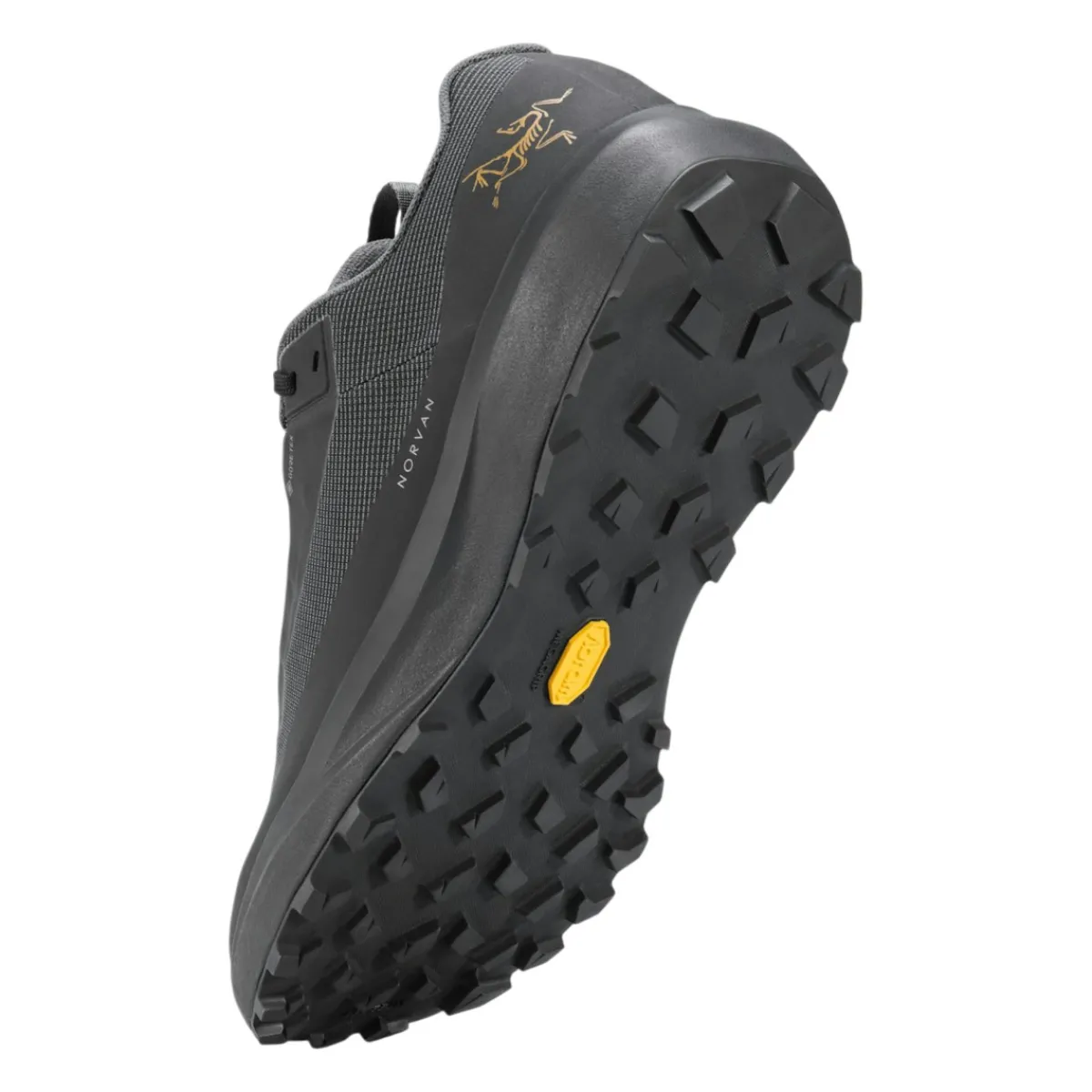 Arc'teryx Casual Shoes|Sandals And Mules<Women's Norvan LD 4 GTX Shoes Black