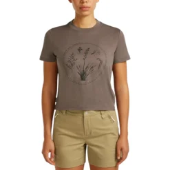 Icebreaker Sweaters|Shirts<Women's 150 Tech Lite Seed Story Crop T-Shirt Porcini