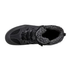 Ecco Casual Shoes|Sandals And Mules<Women's Xpedition III GTX Boots Black